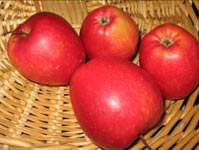 Pomme rouge